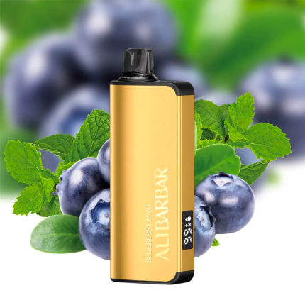 Alibarbar INGOT 9000 Blueberry Mint | VapeWellAus